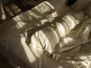 20060816074630-cama.jpg