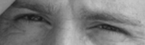 20080102170218-2008.jpg
