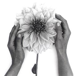 flower.jpg