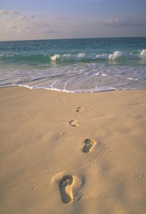 footprints2.jpg